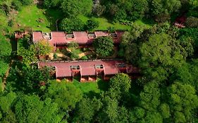 Amboseli Serena Safari 4*